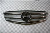 Mercedes Benz C Class W204 Front Radiator Grill Grille Paneling 2048800023 OEM