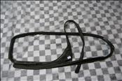 Bentley Continental GT GTC Right Passenger Door Seal Rubber 3W8837434L OEM OE