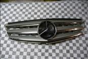 Mercedes Benz C Class W204 Front Radiator Grill Grille Paneling 2048800023 OEM