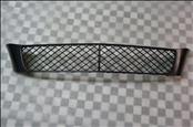 Bentley Continental Flying Spur CFS Sedan 4Dr Front Bumper Central Grille Grill - Used Auto Parts Store | LA Global Parts