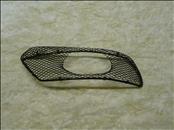 Mercedes Benz W209 CLK Class AMG Front Bumper Lower Grille Mesh Left, NEW OEM 