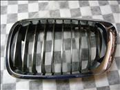 BMW 3 Series Coupe Convertible Front Left Grill Grille Kidney 51138208685 OEM OE