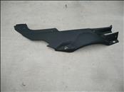 Audi R8 Left Driver Side Wing Cover 420821169D OEM A1