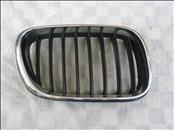 BMW X5 E53 Front Right Passenger Side Grill Grille Kidney 51138247674 OEM A1