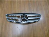 Mercedes Benz C Class W204 Front Radiator Grill Grille Paneling 2048800023