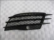 Audi R8 Front Bumper Lower Left Grill Grille 420807681 OEM A1