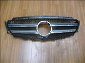 Mercedes Benz E Class Front Radiator Grille A2138880123 OEM A1