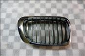 BMW 3 Series Coupe Convertible Front Right Grill Grille Kidney 51138208686 OEM