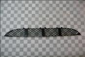 Mercedes Benz E Class Front Bumper Lower Center Grill Grille -NEW- A 2108850053 