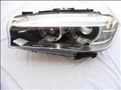 BMW X5 X6 HID Xenon Left Driver Front Headlight Lamp 63117317109 7460617 OEM OE