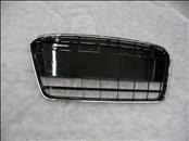 Audi R8 V8 V10 Spyder Front Grill Grille 420853651 S/T OEM OE