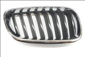 2014 2015 2016 2017 BMW F22 F23 228i 230i Front Right Passenger Side Radiator Kidney Grille 51137295522 OEM OE