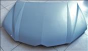 2018 2019 2020 2021 2022 Lamborghini Urus Front Hood Bonnet Panel 4ML010515A 4ML823029 OEM OE