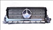2019 2020 2021 2022 2023 Mercedes Benz G Wagon W463 AMG Front Main Grille Calendar A4638880400; A4638880300; 4638880400; 4638880300 OEM