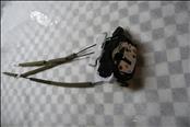 Infiniti G35 G37 Sedan Left Driver Front Door Lock Actuator 80501-JK600 OEM NEW