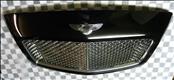 2009-2011 Bentley Continental GT GTC Front Grille Grill 3W0853653F OEM OE