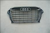 Audi A3 Front Radiator Grille Stone Grey 8V5853651B OEM OE