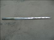 Chrysler Front Right Door Chrome Garnish Moulding Molding 05182598AA OEM OE