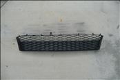 Toyota Lexus RX350 Lower Grille 53398-0E010 OEM OE