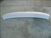 Ford Escape C520 Rear Tailgate Lower Trim Moulding CJ54-S423A40-AEW OEM OE