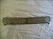 Bentley Continental GT GTC Front Bumper Central Grille 3W3807667F - Used Auto Parts Store | LA Global Parts