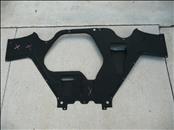 Lamborghini Huracan LP 610-4 Center Rear Streamline Shroud 4S0825201C OEM A1