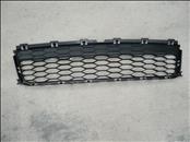 Ford Explorer Front Bumper Lower Grille Grill FB5Z-17K945-AA OEM A1