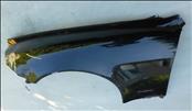 Maserati QP Quattrporte QTP, LH, Left, Driver Side Front Fender Cover 66821000