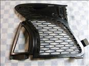 McLaren 650S Front RH Right Passenger Side Grille Mesh Screen 11A7775CP OEM OE