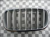 BMW X5 X6 Front Left M Performance Kidney Grille 51712334708 OEM A1