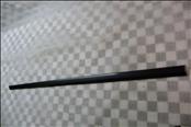Chrysler Town&Country Dodge Grand Caravan Right Sliding Door Molding 0ZR64TZZAA