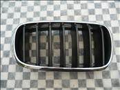 2014 2015 2016 2017 2018 BMW F15 F16 X5 X6 Front Right Passenger Side Kidney Grill Grille 51712334710 OEM A1