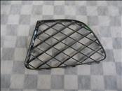 Bentley Continental GT GTC Front Bumper Left Grille Dark Chrome 3W3807683 OEM