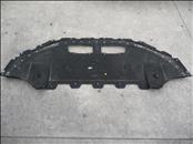 Lamborghini Huracan LP 610-4 Coupe Front Streamline Shroud 4T0825101 OEM A1