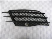 Audi R8 Front Bumper Lower Right Grill Grille 420807682 OEM A1
