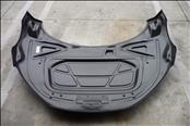 Audi R8 Front Hood Bonnet Cover 420823021A, OEM OE 
