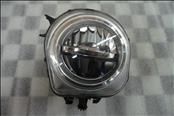 BMW X3 X4 X5 X6 Front Right Passenger Side Fog Light Lamp 63177317252 OEM A1