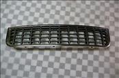 Audi A4 S4 Front Bumper Lower Center Air Grill Grille *NEW* 8E0807647B3SR OEM OE
