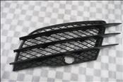 Audi R8 Front Bumper Lower Left Grill Grille 420807681 OEM A1