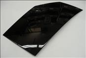 2017 2018 2019 2020 McLaren 720s Right Passenger Door Upper Panel Cover 14AB816CP OEM