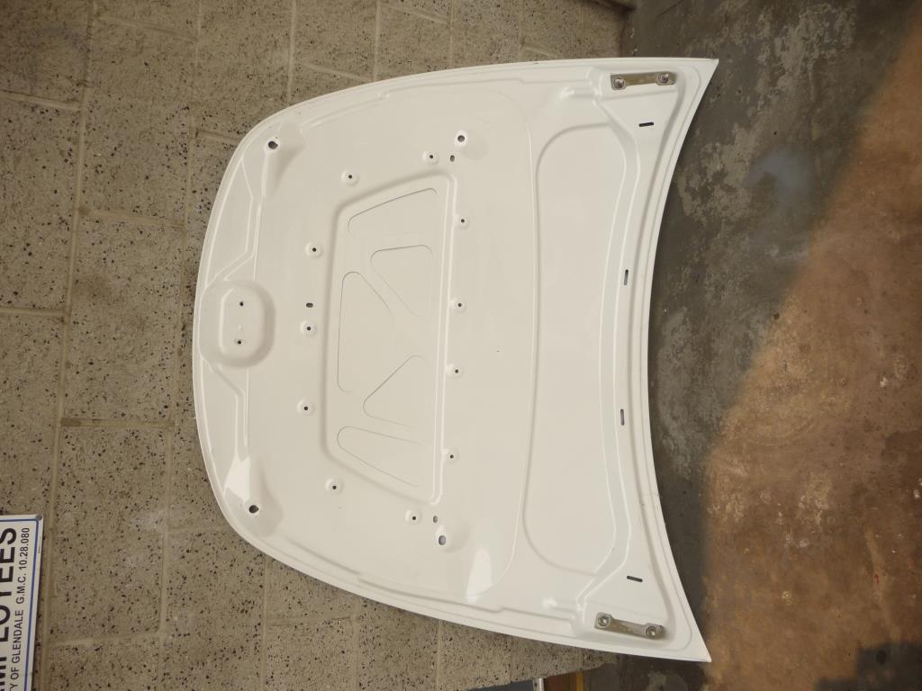2020 Tesla Model Y Front Hood Bonnet Panel Cover Trunk Lid 1493370-E0-A ...