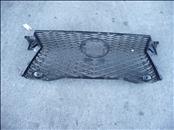 2016 2017 2018 2019 Lexus RX350 RX450h Front Radiator Grille, Upper 53111-0E190 OEM OE