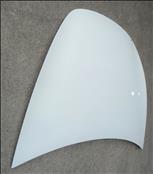 2020 2021 2022 Tesla Model Y Front Hood Bonnet Panel Cover Trunk Lid 1493370-E0-A: 1493370-11-A OEM OE