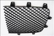 2012 2013 2014 2015 2016 2017 2018 Bentley Continental GT GTC Front Grille Left Driver side Mesh Black 3W3853683 OEM OE