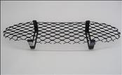 Ferrari 575 Superamerica Air Intake Grille 068707800 ; 68707800 OEM OE