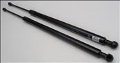 2000 2001 2002 2003 2004 2005 2006 BMW E53 X5 Liftgate Lift Support Struts 51248402405 OEM OE