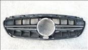 2018 2019 2020 Mercedes Benz W213 E63 AMG S Front Radiator Protective Grille A2138880900 OEM OE