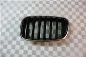 BMW X5 X6 E70 E71 Front Left LH Grill Grille BLACK 51137171395 OEM OE