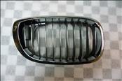 BMW 3 Series Coupe Convertible Front Right Grill Grille Kidney 51137064318 OEM